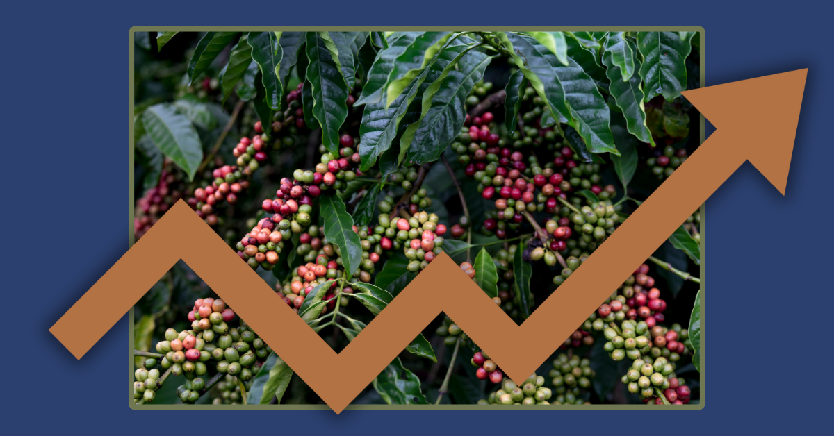 كوفدار | COFDAR |