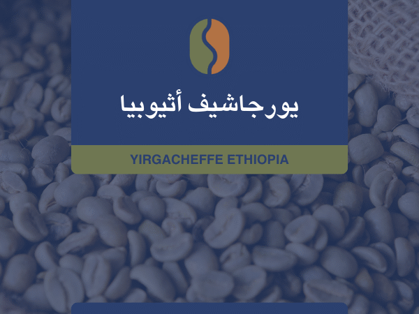 كوفدار | COFDAR | إثيوبيا يورجاشيف