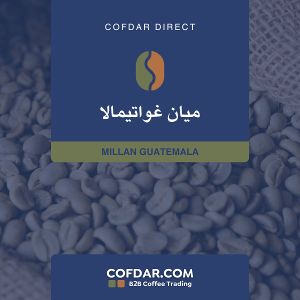 جواتيمالا ميان
