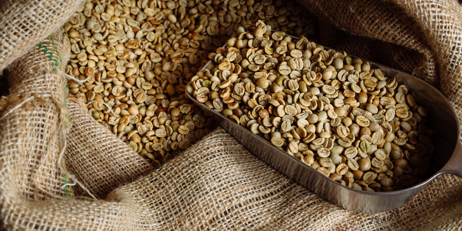 كوفدار | COFDAR | كوفدار دايركت