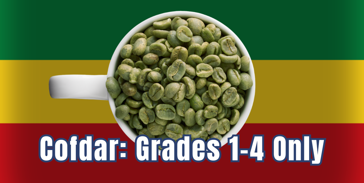 كوفدار | COFDAR | درجات القهوة الإثيوبية (قريد): 9 درجات جودة ولماذا كوفدار تعمل فقط من 1 إلى 4