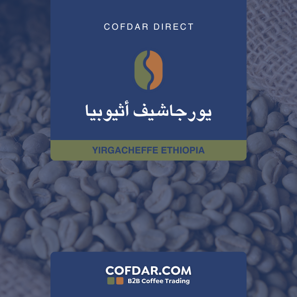 قهوة إثيوبية يرقاشيف G1