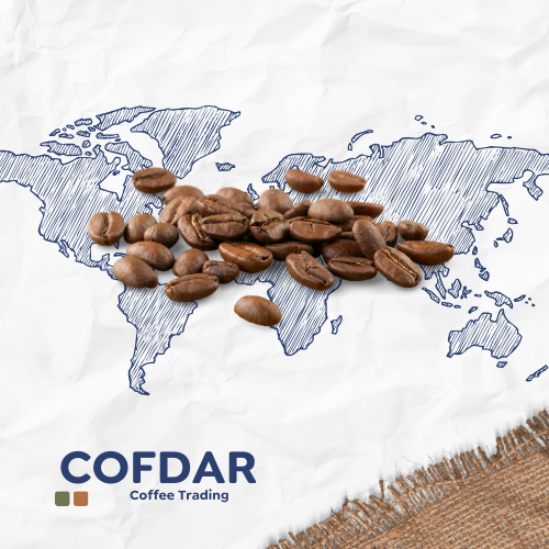 Discover New Opportunities with Cofdar