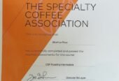Roasted African blend