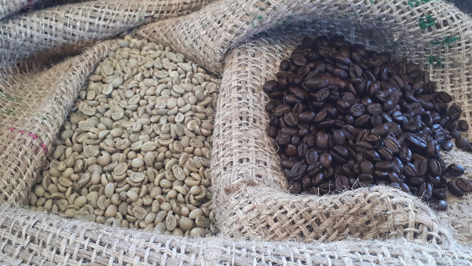 Roasted African blend