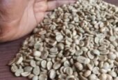 Arabica Coffee beans