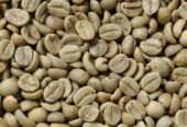 Arabica Coffee beans