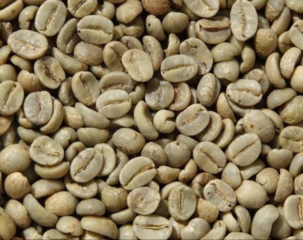 Arabica Coffee beans