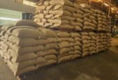 Arabica Coffee beans