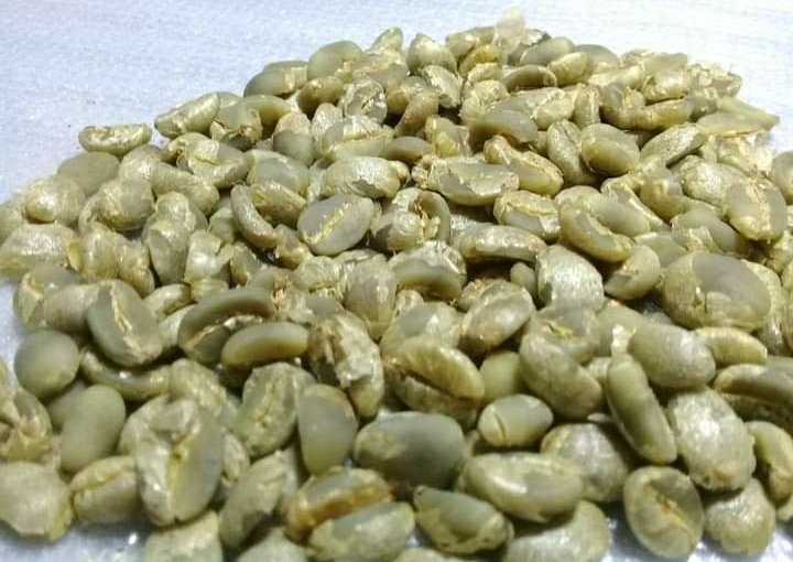 Arabica coffee /Robusta coffee bean