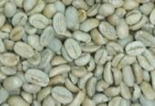 Arabica coffee /Robusta coffee bean