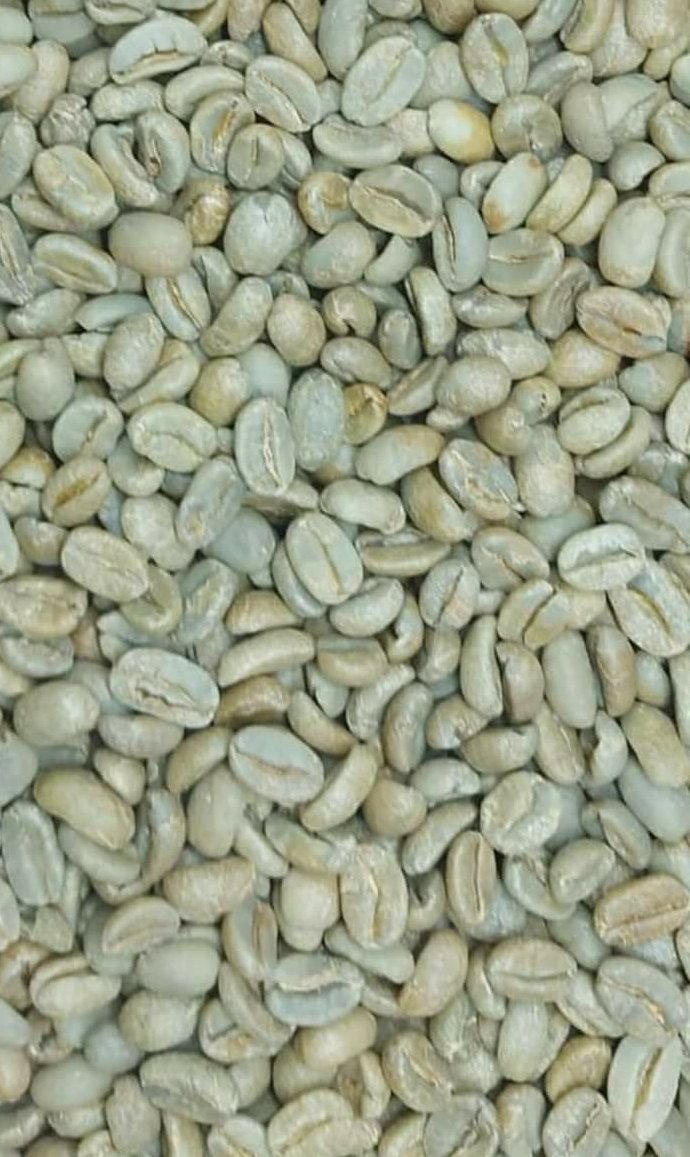 Arabica coffee /Robusta coffee bean