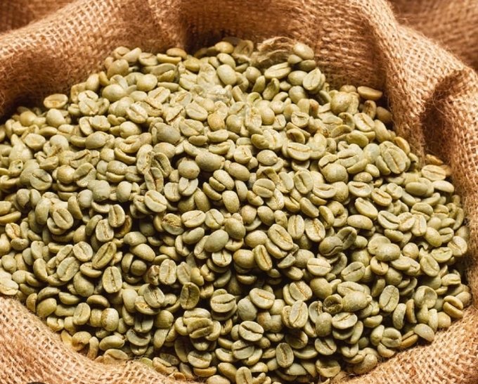 Arabica coffee /Robusta coffee bean