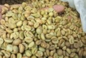 Arabica coffee /Robusta coffee bean