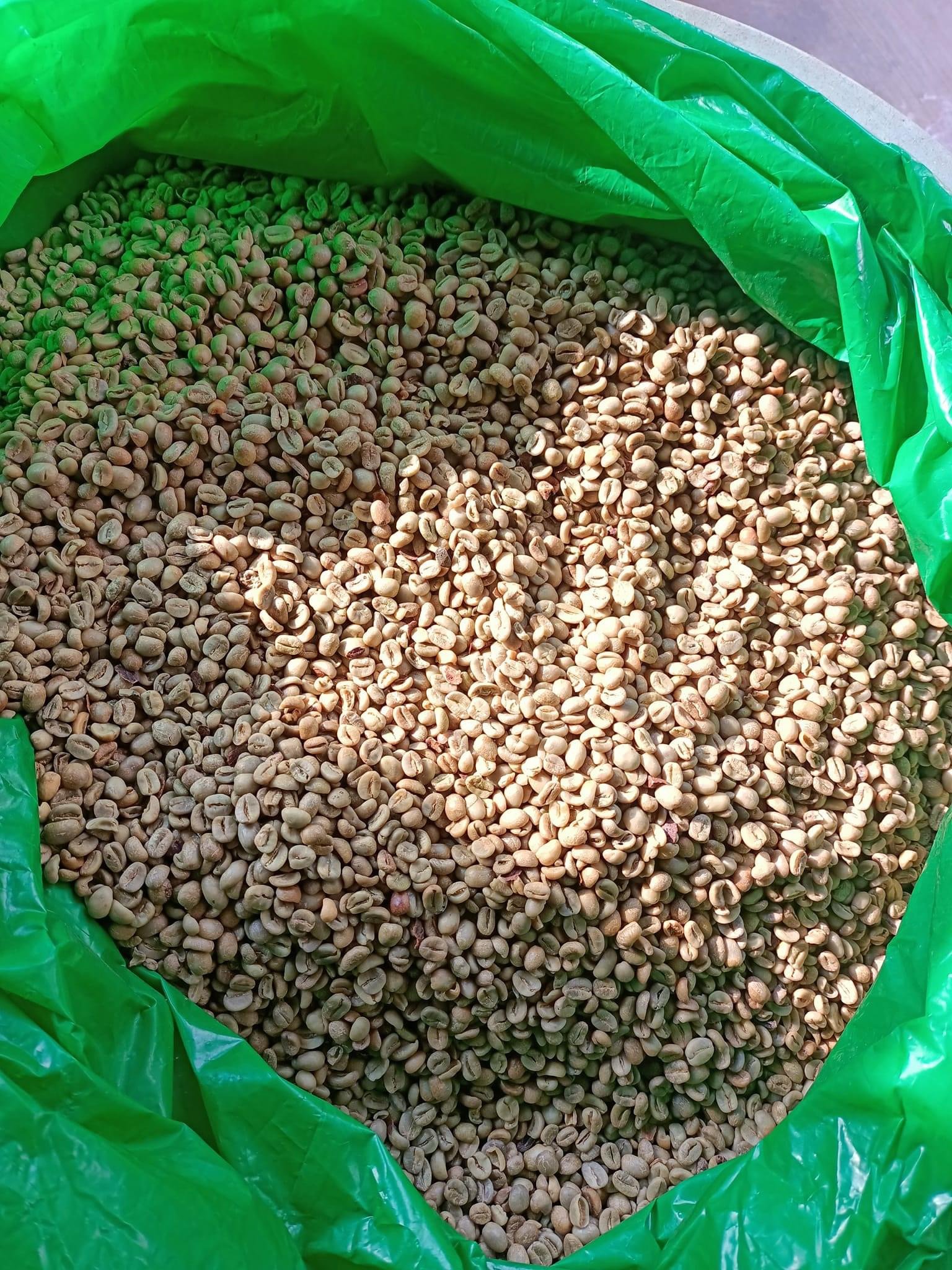 Roasted Coffee and coffee products