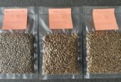 Coffee Beans – Robusta & Arabica