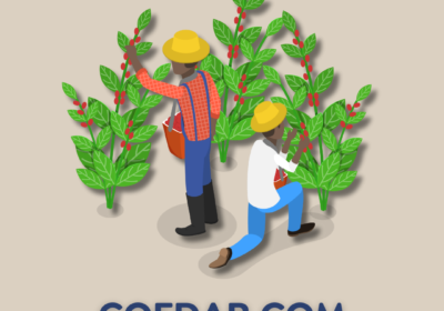 cofdar-ads159