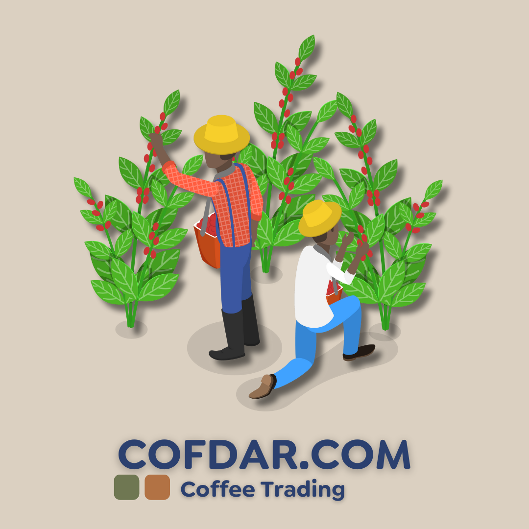 Discover New Opportunities