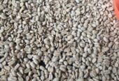 Arabica Gayo Beans