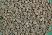 Kenya Specialty Arabica Green Coffee – Grades AA, AB, PB,