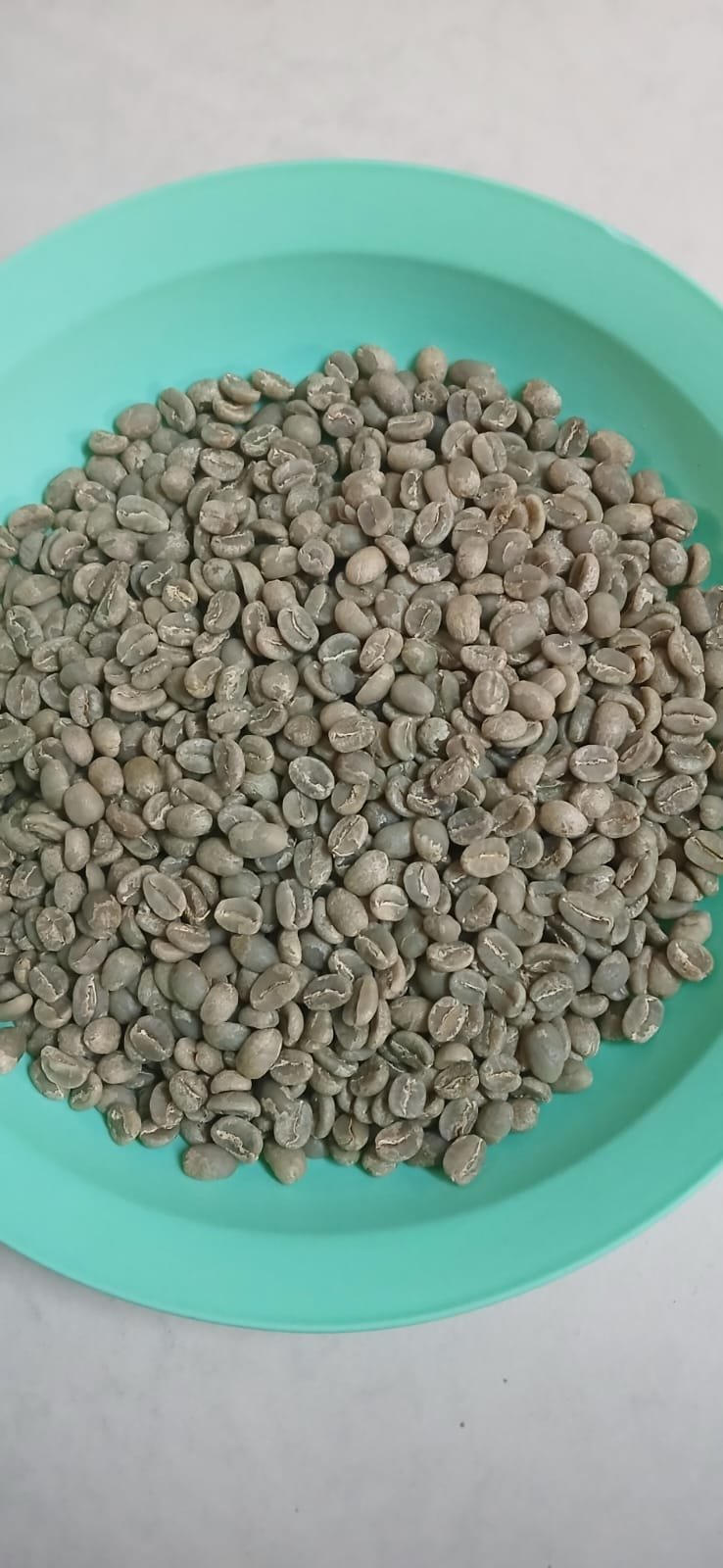 Kenya Specialty Arabica Green Coffee – Grades AA, AB, PB,