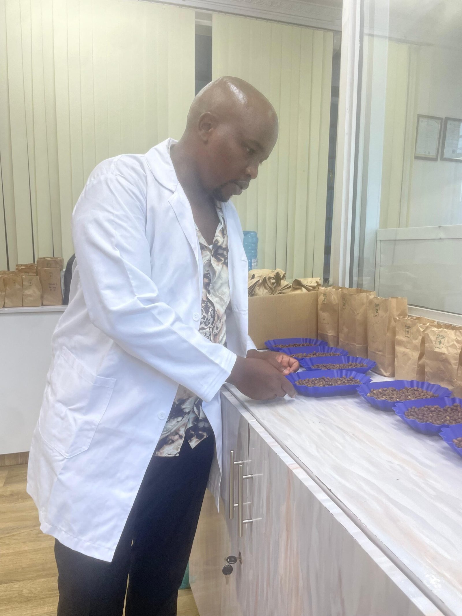 Kenya Specialty Arabica Green Coffee – Grades AA, AB, PB,
