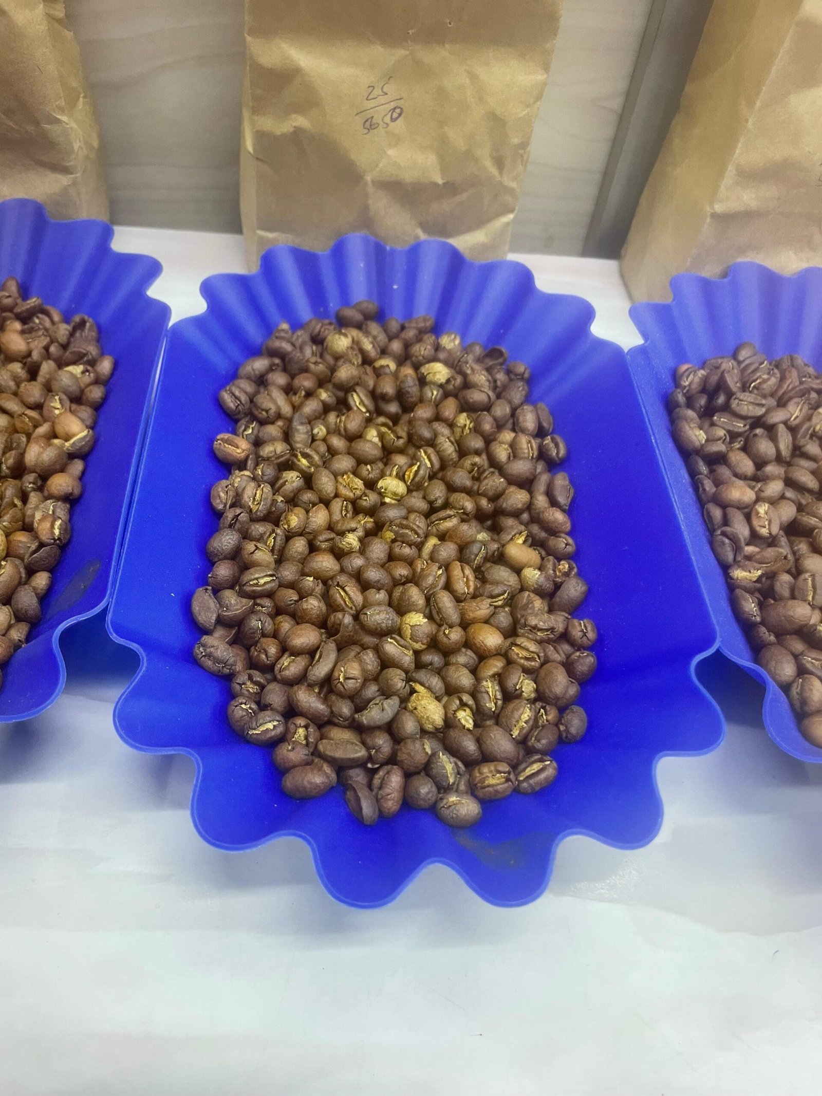 Kenya Specialty Arabica Green Coffee – Grades AA, AB, PB,