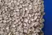 Kenya Specialty Arabica Green Coffee – Grades AA, AB, PB,