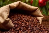 Kenya AA Roasted Coffee – Monthly Supply Contract (100kg+ Recurring Orders)