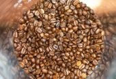 Kenya AA Roasted Coffee – Monthly Supply Contract (100kg+ Recurring Orders)
