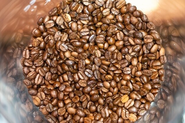 Kenya AA Roasted Coffee – Monthly Supply Contract (100kg+ Recurring Orders)