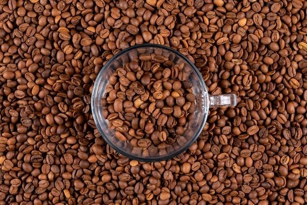 Kenya AA Roasted Coffee – Monthly Supply Contract (100kg+ Recurring Orders)