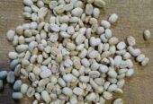 Premium Ethiopian Kaffa Grade 2 Organic Green Coffee Beans – Direct Farm Origin