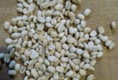 Premium Ethiopian Kaffa Grade 2 Organic Green Coffee Beans – Direct Farm Origin