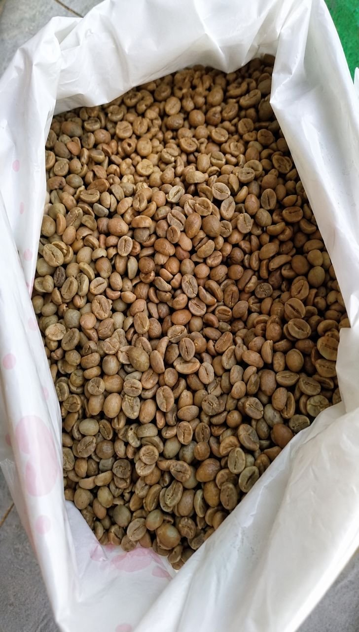 UGANDA NATURAL ROBUSTA COFFEE SCREEN 15