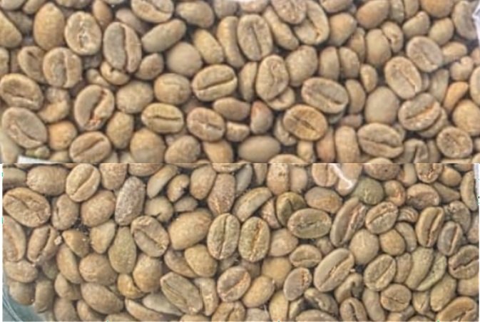 Ethiopian Arabica green coffee, Guji Region, Naturally dried, Grade 4 (2025/26 Harvest)