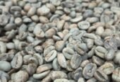 Specialty Single Origin Mount Puntang Java Preanger Natural