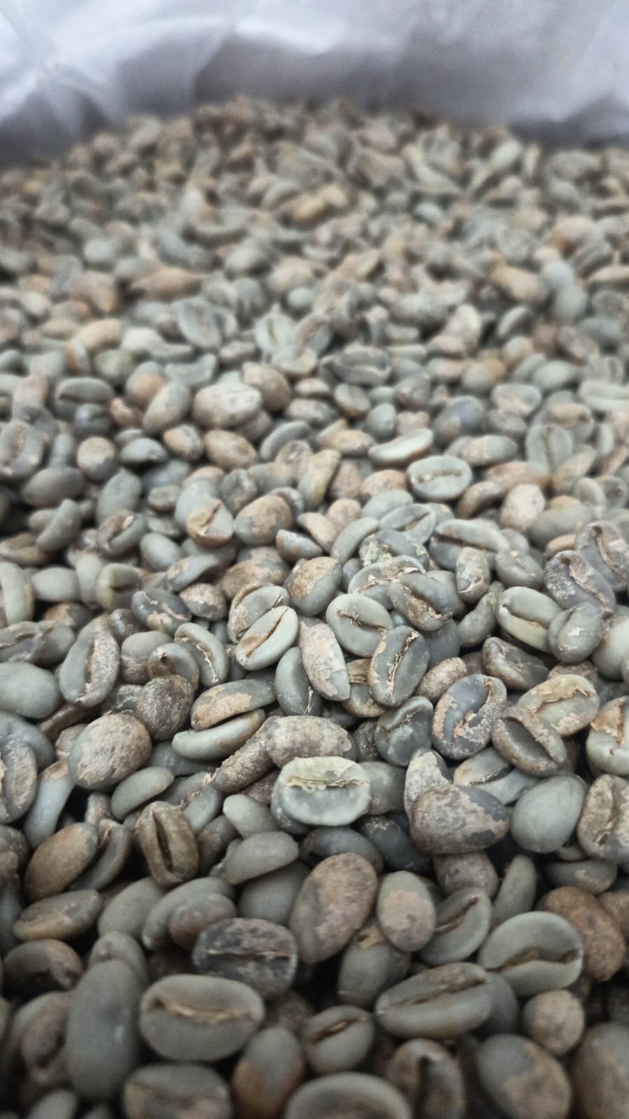 Specialty Single Origin Mount Puntang Java Preanger Natural