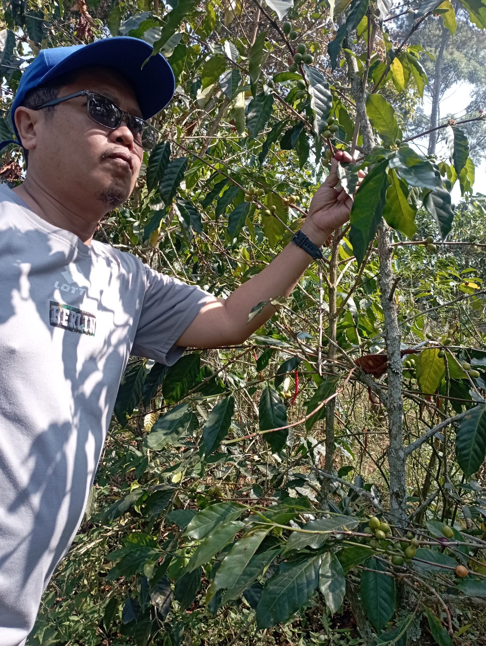 Specialty Single Origin Mount Puntang Java Preanger Natural